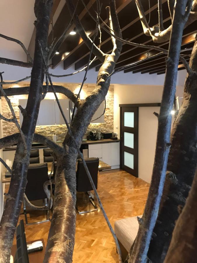 Apartment Antique Theatre 2 旧扎戈拉 外观 照片